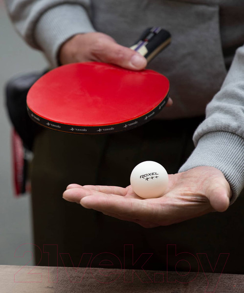 Изображение товара Набор мячей для настольного тенниса Roxel Prime (6шт, белый)