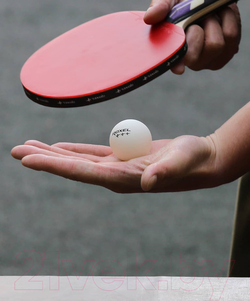 Изображение товара Набор мячей для настольного тенниса Roxel Prime (6шт, белый)