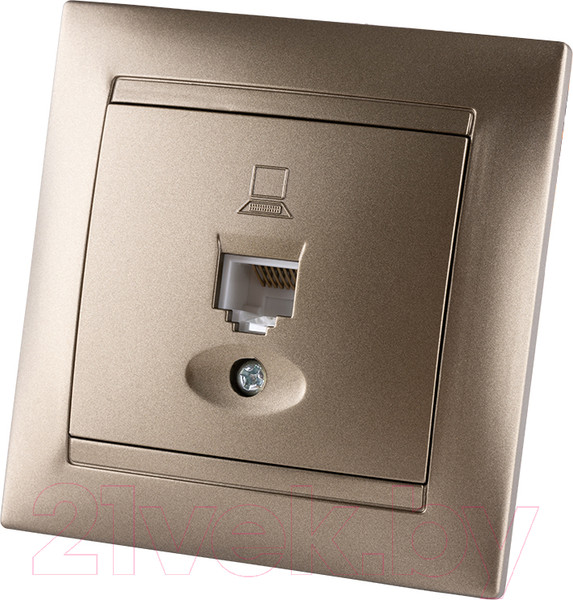 Изображение товара Розетка TDM Лама SQ1815-0716 (бронза)