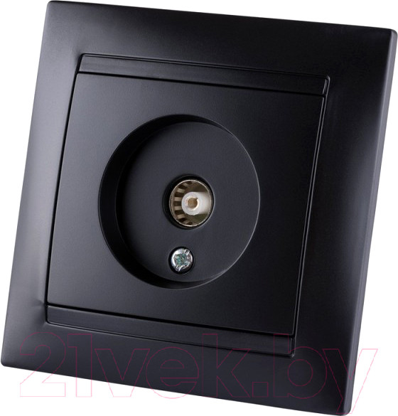 Изображение товара Розетка TDM Лама SQ1815-0617 (графит)