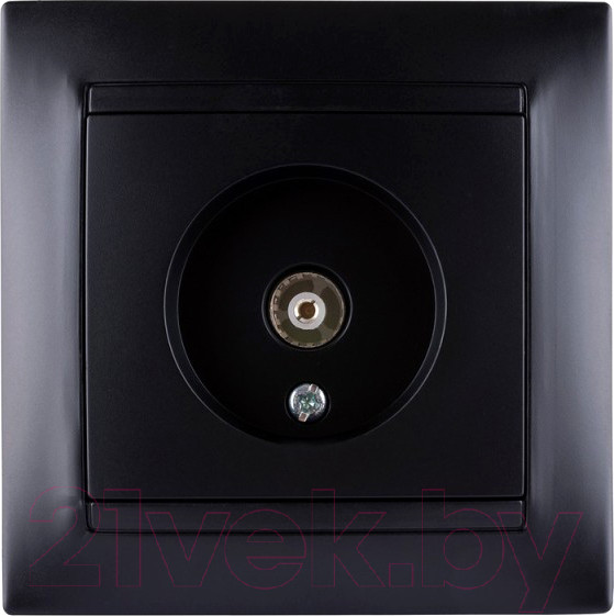 Изображение товара Розетка TDM Лама SQ1815-0617 (графит)
