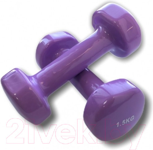 Изображение товара Набор гантелей Indigo Sport 92005 (2x1.5кг, сиреневый)