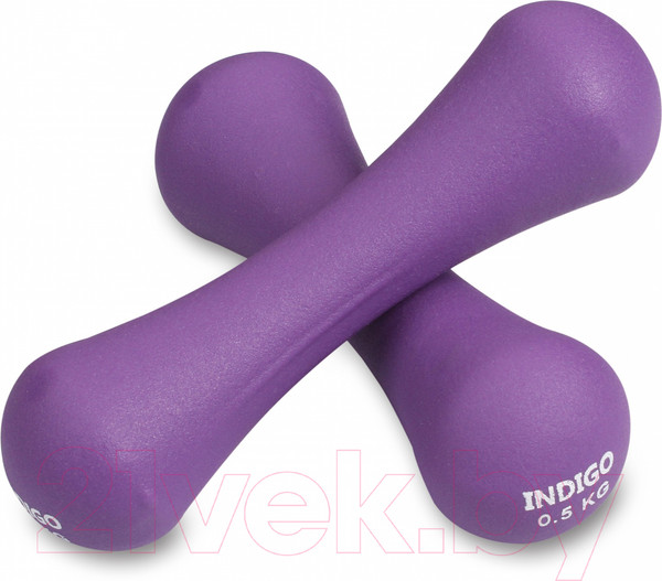 Изображение товара Набор гантелей Indigo Sport IN234 (2x1.5кг, фиолетовый)