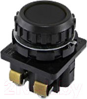 Изображение товара Кнопка для пульта TDM SQ0753-0006