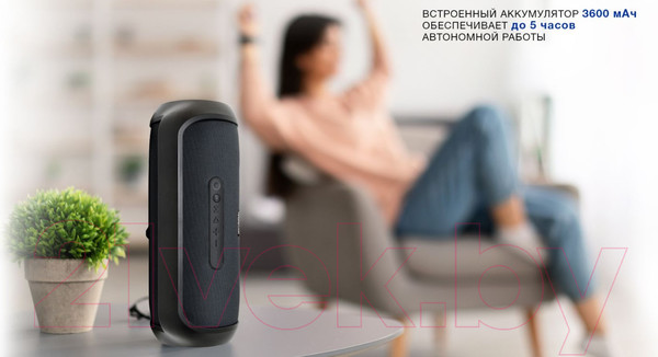 Изображение товара Портативная колонка Hyundai H-PAC420 (серый/черный)