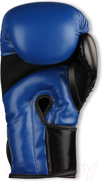 Изображение товара Боксерские перчатки RSC Pu Flex Bf BX 023 (р-р 6, синий/черный)