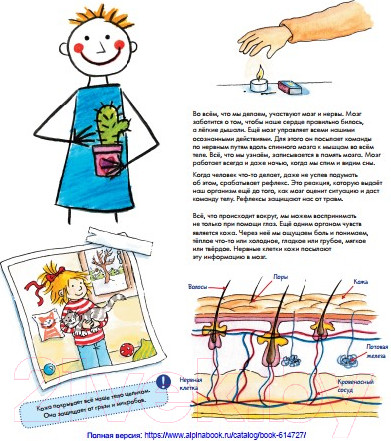 Изображение товара Развивающая книга Альпина Конни изучает тело. Книжка с окошками (Шнайдер Л.)