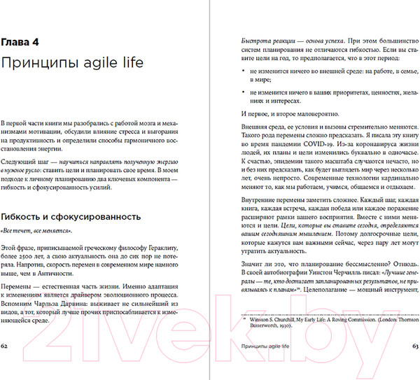 Изображение товара Книга Альпина Agile life: Как вывести жизнь на новую орбиту (Ленгольд К.)