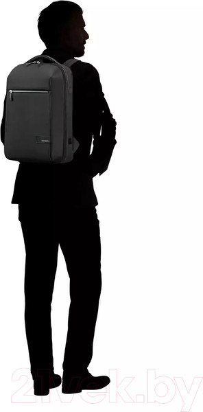 Изображение товара Рюкзак Samsonite Litepoint KF2*09 004