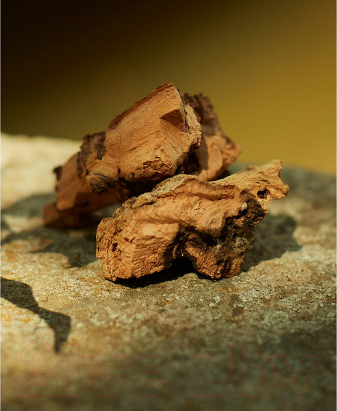 Изображение товара Парфюмерная вода Gucci Memoire d'une Odeur (100мл)