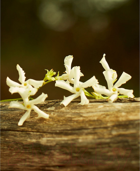 Изображение товара Парфюмерная вода Gucci Memoire d'une Odeur (100мл)