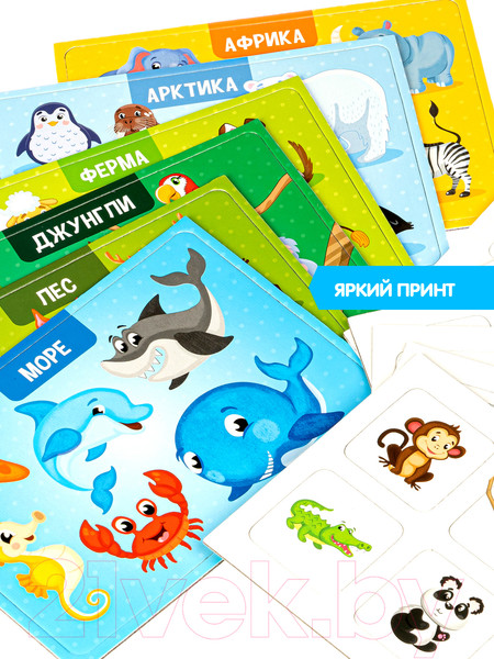 Изображение товара Лото Bondibon Лото. Животный мир / ВВ4870