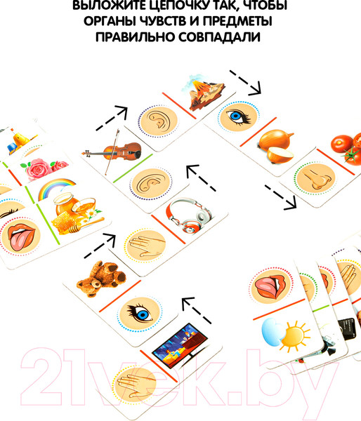 Изображение товара Домино Bondibon Домино. 5 чувств / ВВ4876