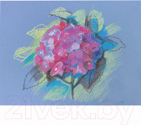 Изображение товара Набор сухой пастели Brauberg Art Classic / 181456 (48цв)