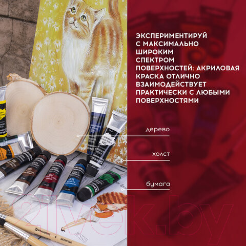 Изображение товара Акриловые краски Brauberg 191124 (24цв)