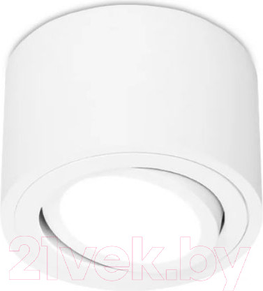 Изображение товара Точечный светильник Ambrella TN222 WH/S (белый/песок)