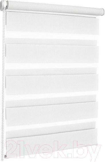 Изображение товара Рулонная штора Эскар День-Ночь 52x170 / 400501052 (белый)