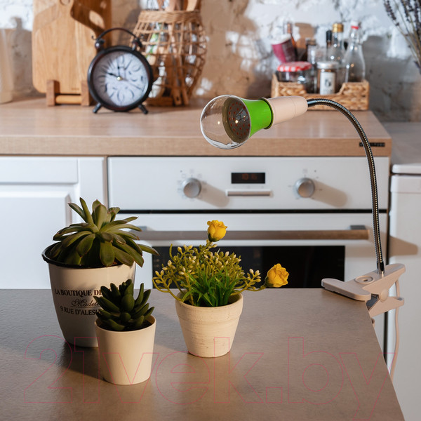 Изображение товара Лампа для растений Uniel LED-A60-15W/SPSB/E27/CL PLP30GR / UL-00004582