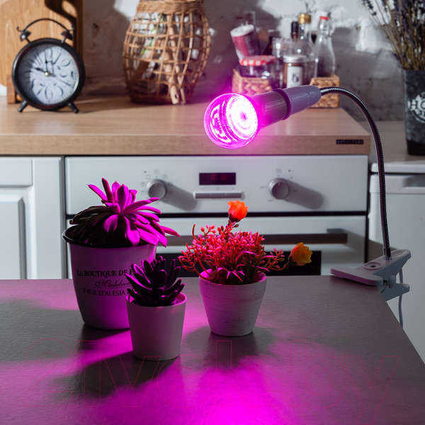 Изображение товара Лампа для растений Uniel LED-A60-15W/SPSB/E27/CL PLP30GR / UL-00004582