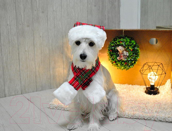 Изображение товара Шарф для животных Puppia Santa / PDDF-SM23-CR-S (красная клетка)