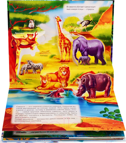 Изображение товара Книжка-панорамка АСТ Животные (Иванова О.)