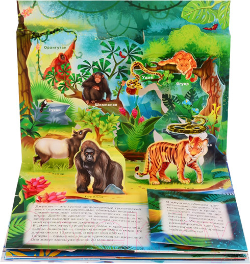 Изображение товара Книжка-панорамка АСТ Животные (Иванова О.)