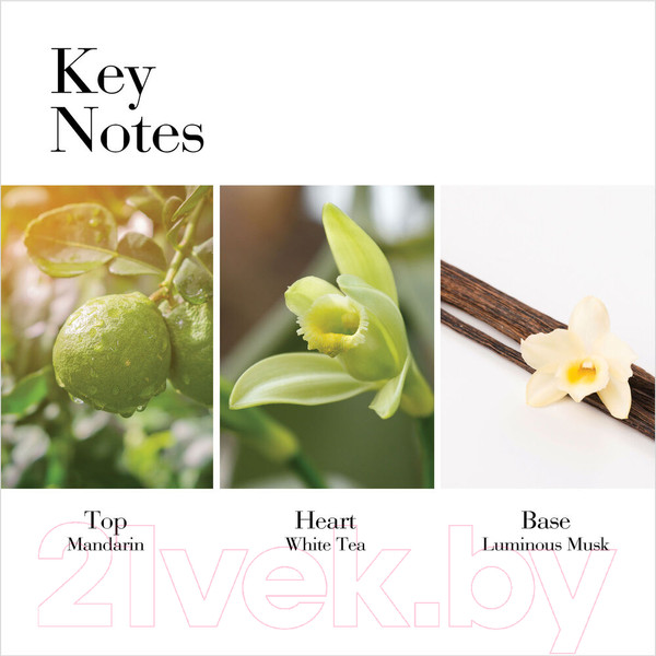 Изображение товара Туалетная вода Elizabeth Arden White Tea Mandarin Blossom for Women (50мл)