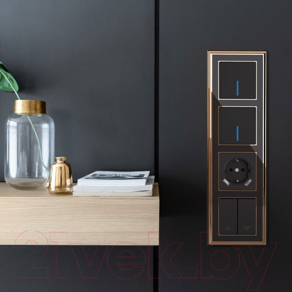 Изображение товара Выключатель Werkel W1112108 / a051609 (черный матовый)