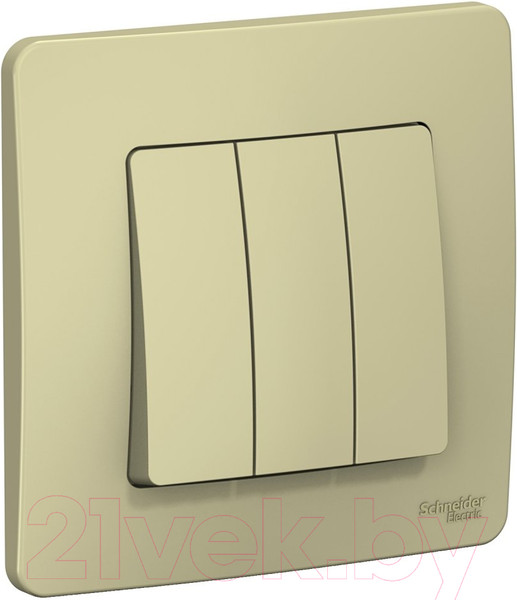 Изображение товара Выключатель Systeme (Schneider) Electric Blanca BLNVS100507