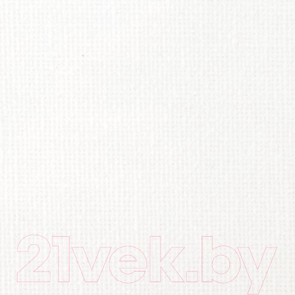 Изображение товара Холст для рисования Brauberg Art Debut / 191025