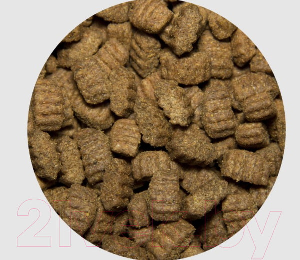 Изображение товара Сухой корм для собак All Dogs Для взрослых собак с курицей (20кг)