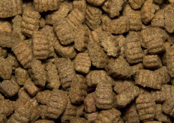 Изображение товара Сухой корм для собак All Dogs Для взрослых собак с курицей (20кг)