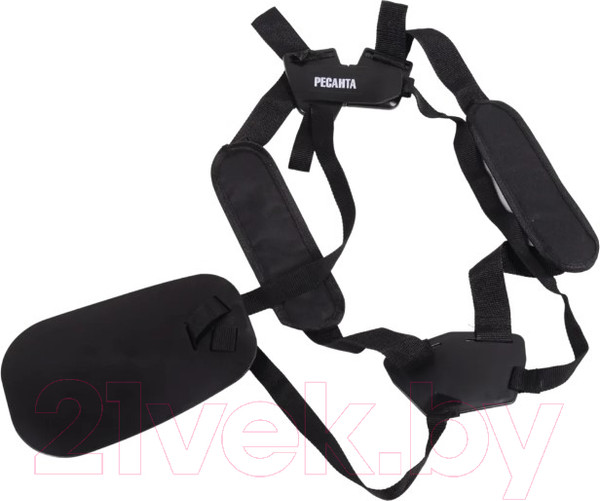 Изображение товара Триммер бензиновый Ресанта БТР-2500П (70/2/41)