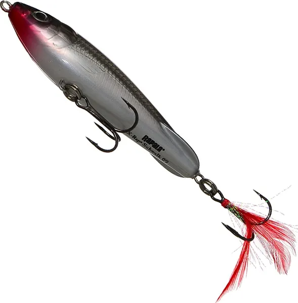 Изображение товара Воблер Rapala X-Rap Subwalk / XRSB09-S