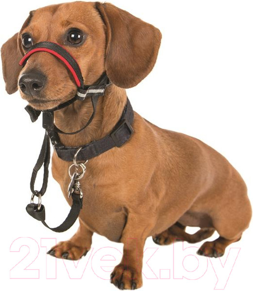 Изображение товара Недоуздок Halti Optifit Headcollar / 24201/COA (S, черный)