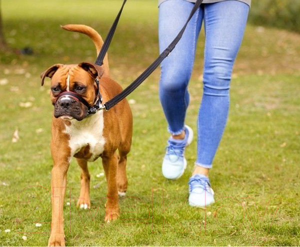 Изображение товара Недоуздок Halti Optifit Headcollar / 24201/COA (S, черный)