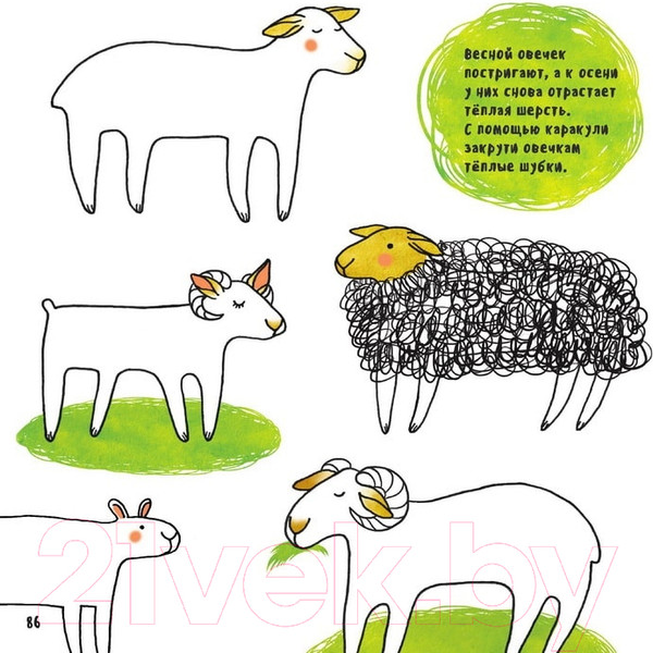 Изображение товара Раскраска Нашы майстры Веселые каракули / H11-1