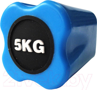 Изображение товара Бодибар Original FitTools FT-BDB-5 (5кг, светло-синий)