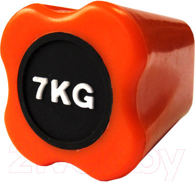 Изображение товара Бодибар Original FitTools FT-BDB-7 (7кг, оранжевый)