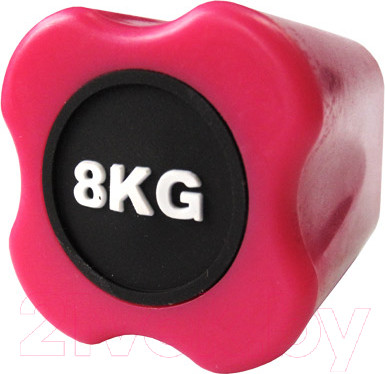 Изображение товара Бодибар Original FitTools FT-BDB-8 (8кг, розовый)