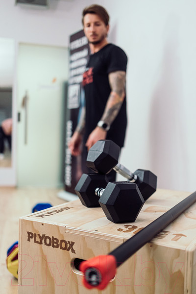 Изображение товара Гантель Original FitTools FT-HEX-27.5