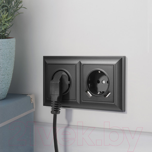 Изображение товара Розетка Werkel W1171508 / a051617 (черный матовый)