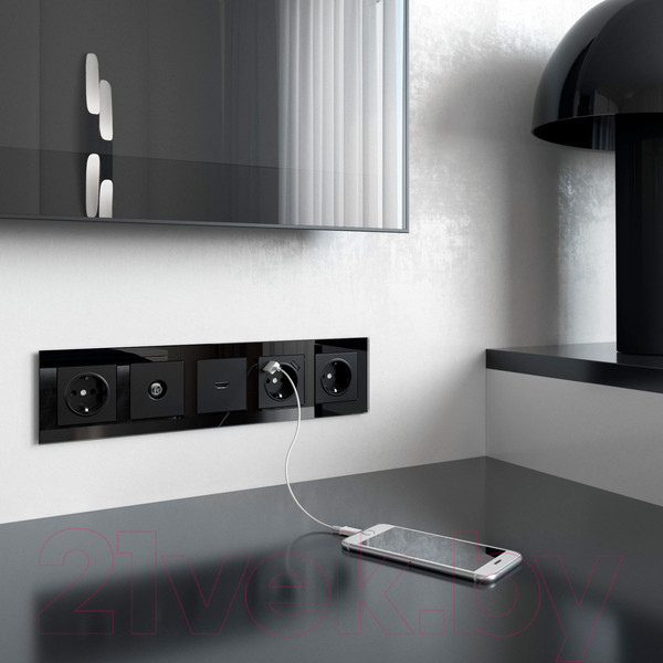 Изображение товара Розетка Werkel W1171508 / a051617 (черный матовый)