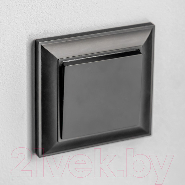 Изображение товара Выключатель Werkel W1113008 / a051611 (черный матовый)