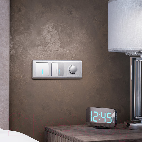 Изображение товара Выключатель Werkel W1120109 / a051356 (серебряный рифленый)