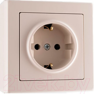 Изображение товара Розетка TIMEX Jowisz JWBE-GNT17 (бежевый)