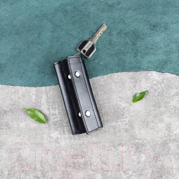 Изображение товара Ключница Ezcase City Mini / C7.1 (черный)