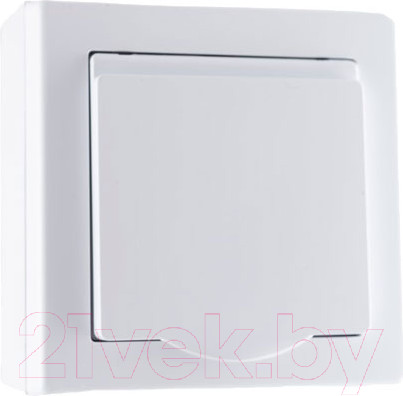 Изображение товара Розетка TIMEX Jowisz JWBL-GNT17-H (белый)