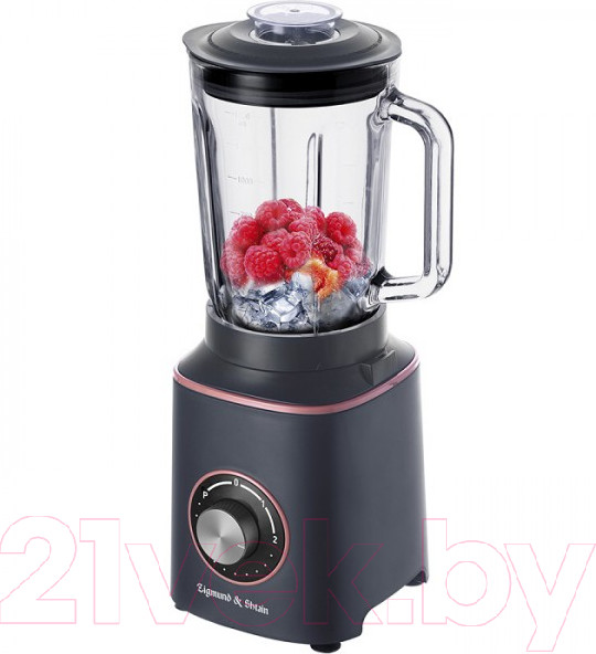 Изображение товара Блендер стационарный Zigmund & Shtain BS-442 D