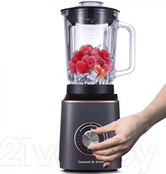Изображение товара Блендер стационарный Zigmund & Shtain BS-442 D